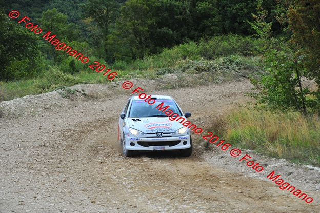 DSC_7982.JPG